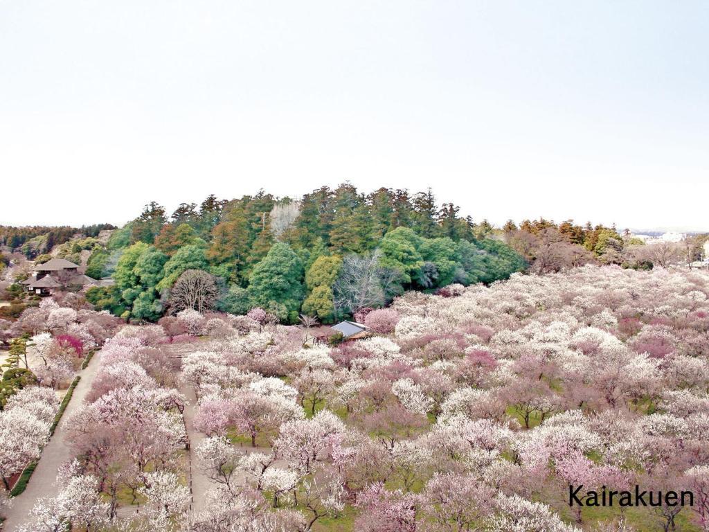 Mito Keisei Hotel Exteriér fotografie